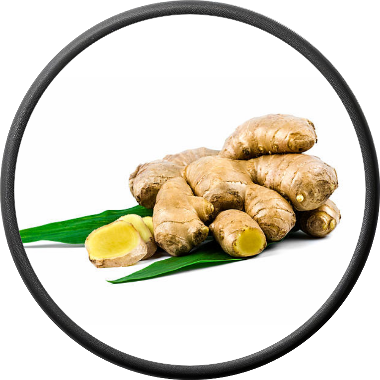 Fresh Ginger